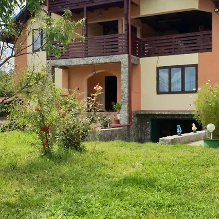 Pensiunea Magura Pensión Baia de Fier